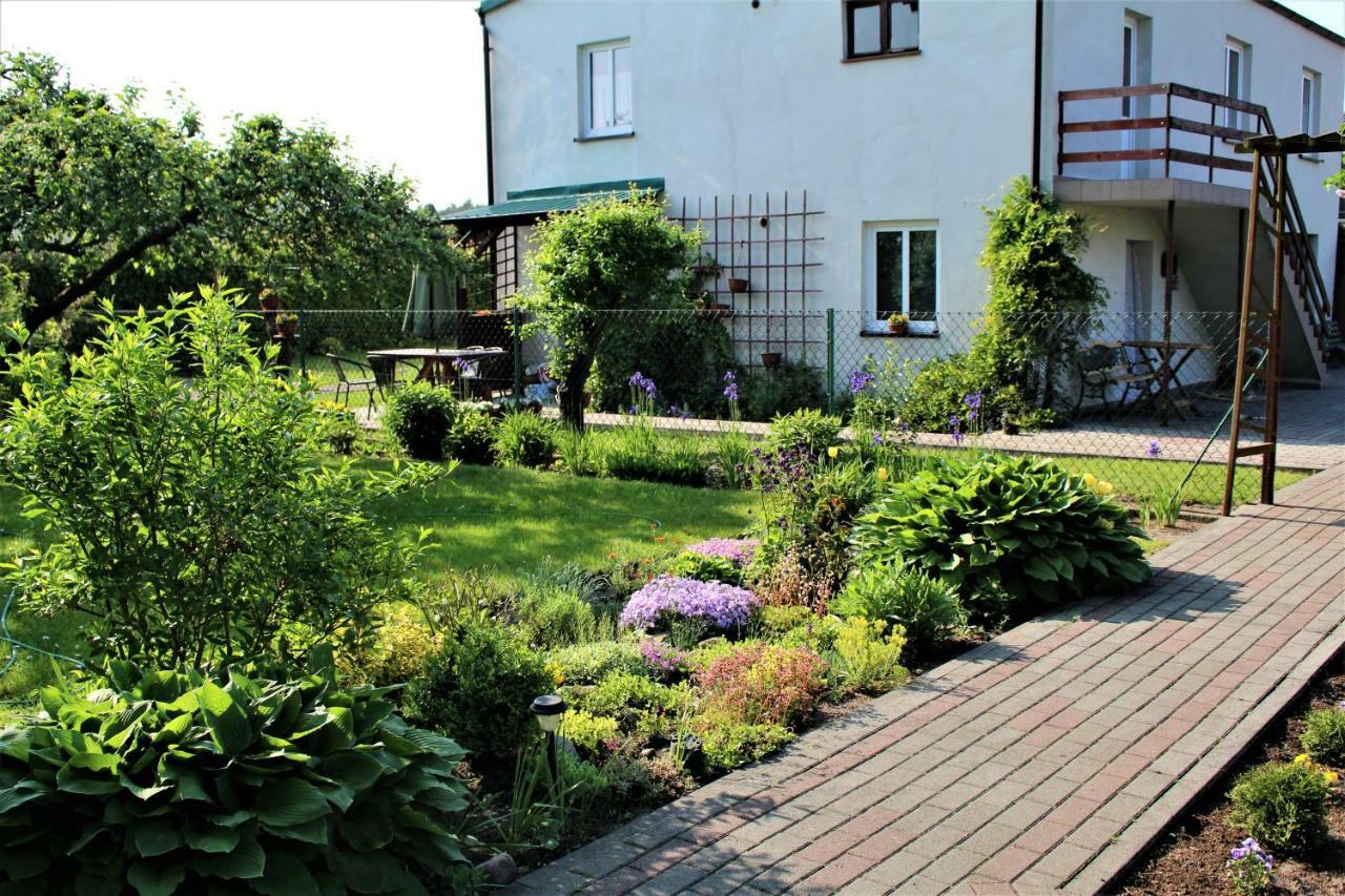 Agrokwatera Stary Dab Czarny Mlyn Exteriér fotografie